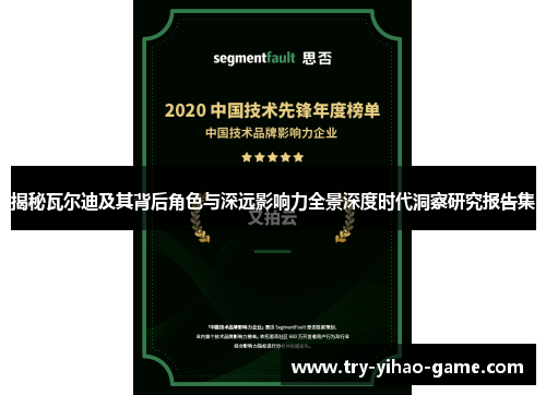 揭秘瓦尔迪及其背后角色与深远影响力全景深度时代洞察研究报告集