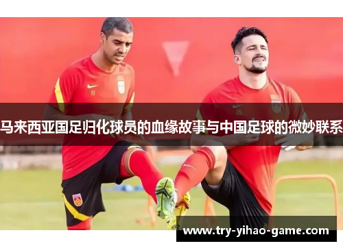 马来西亚国足归化球员的血缘故事与中国足球的微妙联系 马来西亚国足归化球员的血缘故事与中国足球的微妙联系